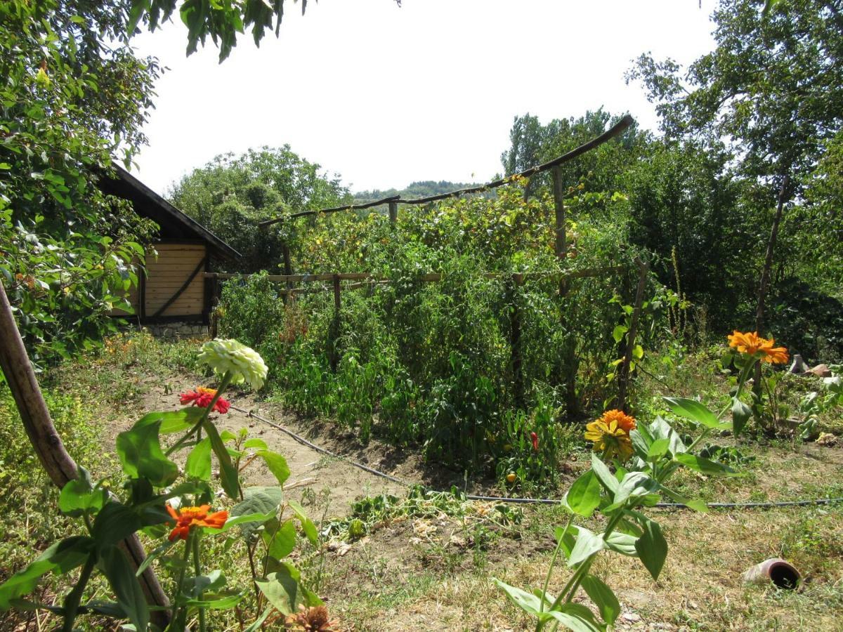 Beefree Villa Gorsko Slivovo Esterno foto